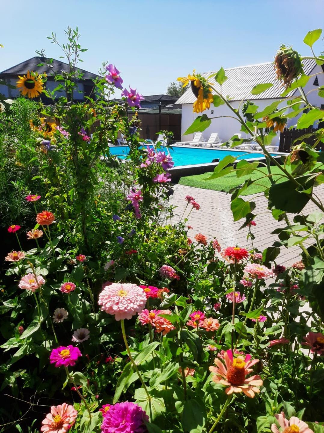 Malibu Guest House Kapchagay Bagian luar foto