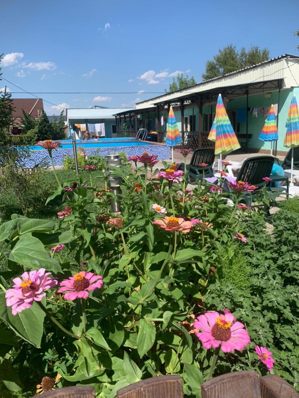 Malibu Guest House Kapchagay Bagian luar foto